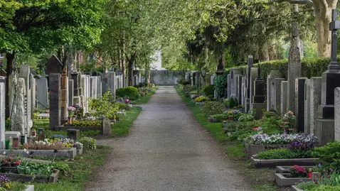 Kiesweg auf einem Friedhof, bepflanzte Gräber zu beiden Seiten