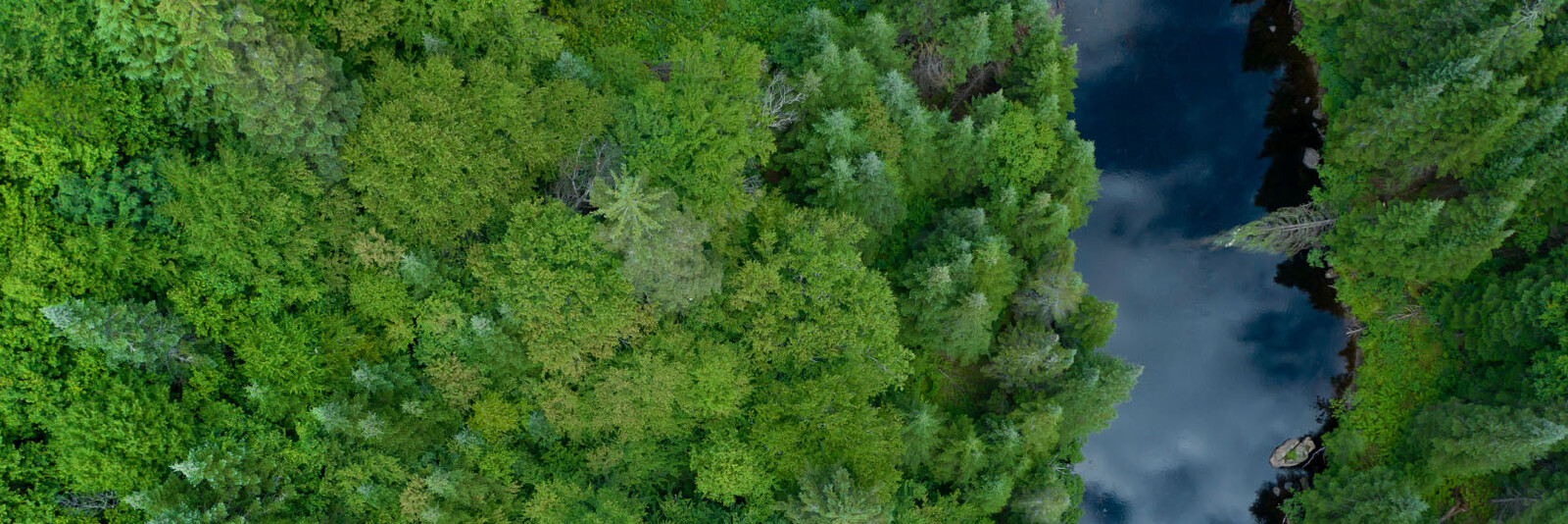 Nachhaltigkeit Schmuckbild Wald und Fluß aus Vogelperspektive