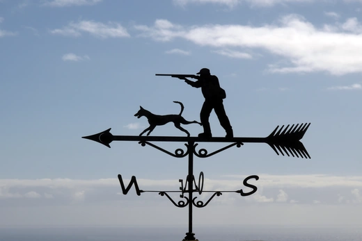 100. Behörde bietet Online-Dienst „eWaffe“ an